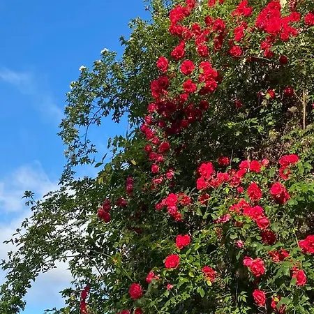 Kornspeicher Apartamento Himmelpfort