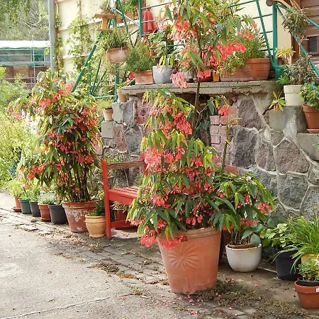 Apartamento Kornspeicher *