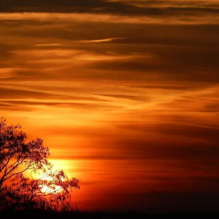 アパート Kornspeicher