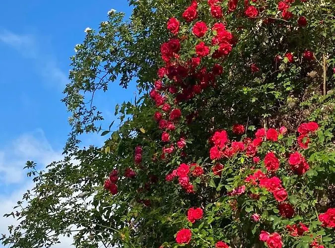 Kornspeicher Appartement Himmelpfort